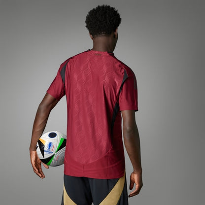 Maillot Domicile Belgique 2024 Authentique